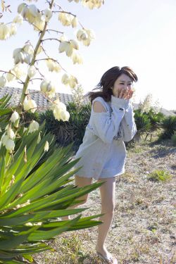 杨门女将 电影