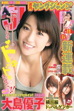 红白歌会2010