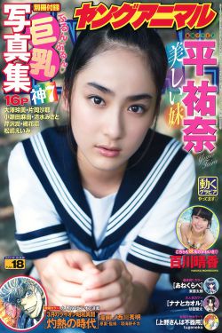 追龙2
