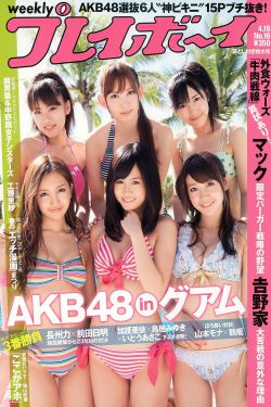 电视剧施公奇案