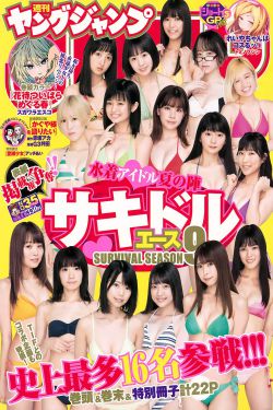 胭脂霸王电视剧全集观看